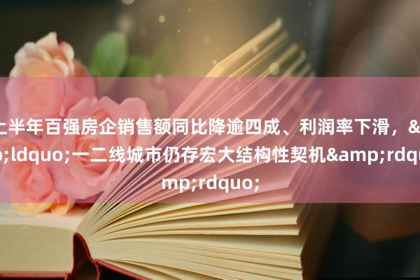 上半年百强房企销售额同比降逾四成、利润率下滑，&ldquo;一二线城市仍存宏大结构性契机&rdquo;