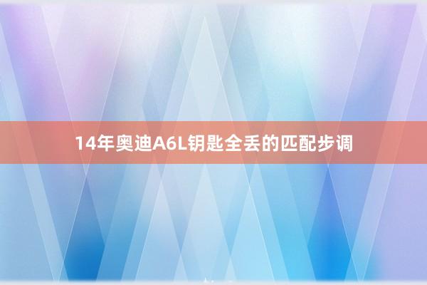 14年奥迪A6L钥匙全丢的匹配步调