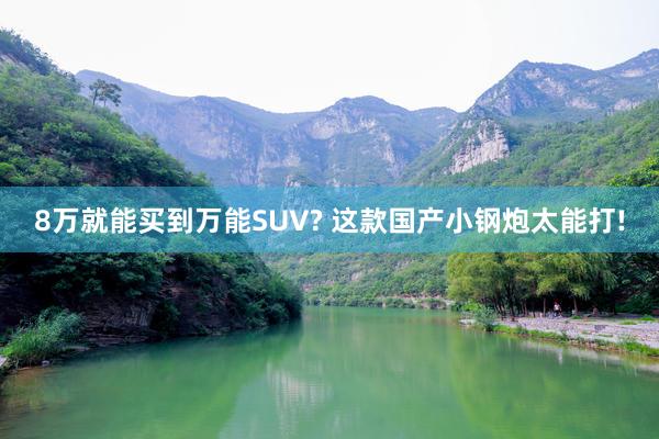 8万就能买到万能SUV? 这款国产小钢炮太能打!