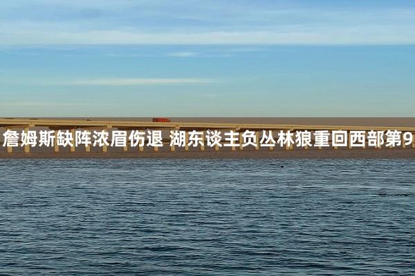 詹姆斯缺阵浓眉伤退 湖东谈主负丛林狼重回西部第9