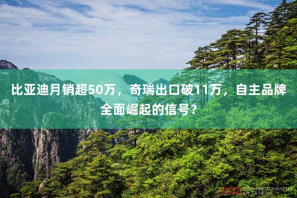 比亚迪月销超50万，奇瑞出口破11万，自主品牌全面崛起的信号？