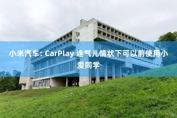 小米汽车: CarPlay 连气儿情状下可以前使用小爱同学